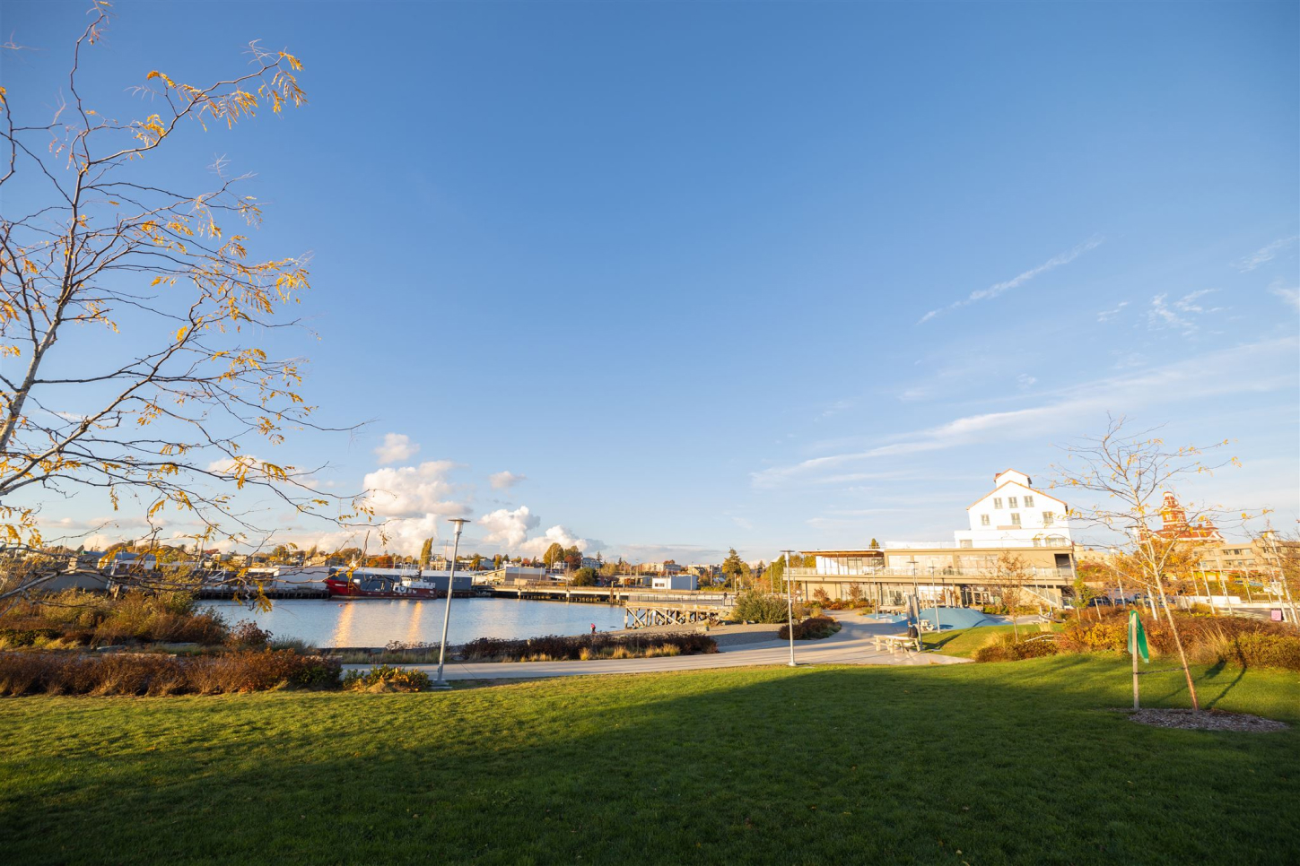 Labor and Employment Law Bellingham Attorney